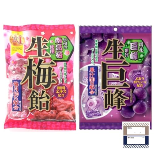 { ~  Zbg ~  ~  LfB Mt[iǗV[