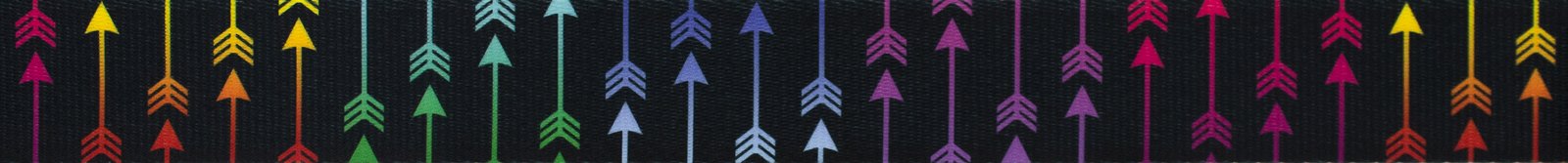 Country Brook Design - Colorful Arrows Polyester Webbing (1 Inch, 5 Yards)