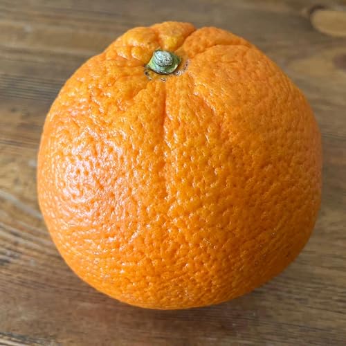 Eating An Orange