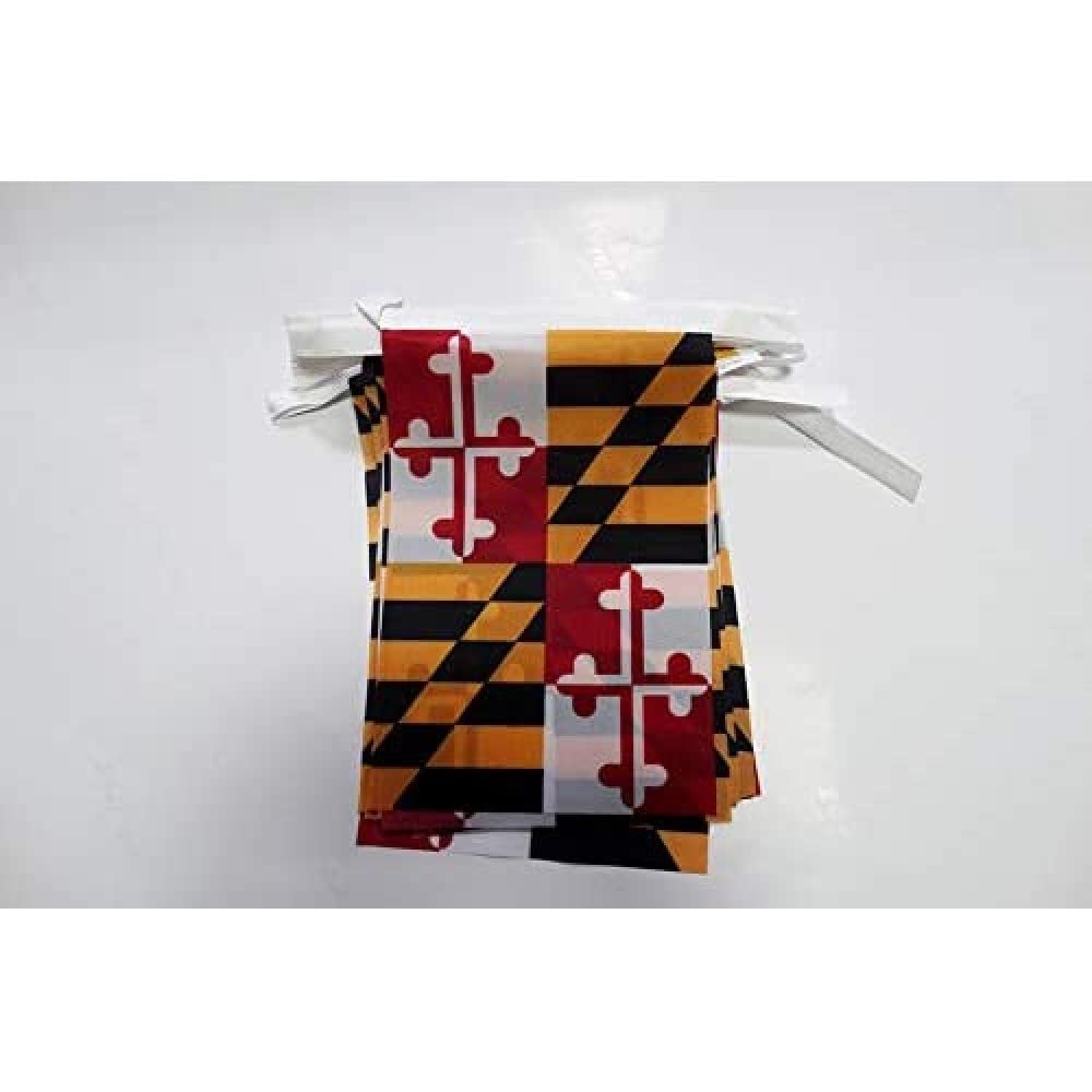 AZ FLAG Maryland Bunting 20 ft 20 flags Light Polyester