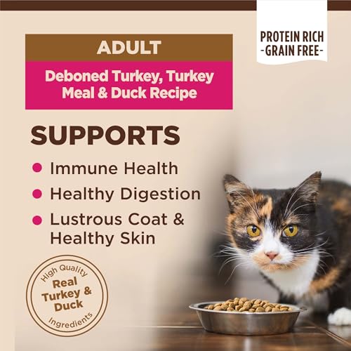 Image of Wellness CORE Adult Dry Cat Food, Natural, Grain Free Kibble, Turkey and Duck Recipe, 11 lb Bag