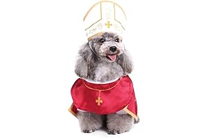 Pawesome Papal Pet Costume for Halloween Festivities