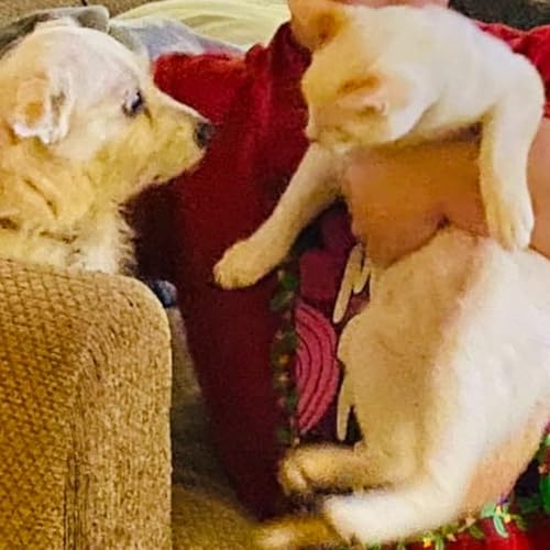 Episode 9 - (LV/LS) Coffeehouse✝️☕️ Spring!