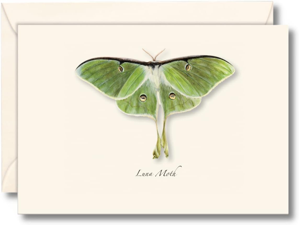 Earth Sky + Water - Luna Moth Notecard Set - 8 Blank Cards with Envelopes