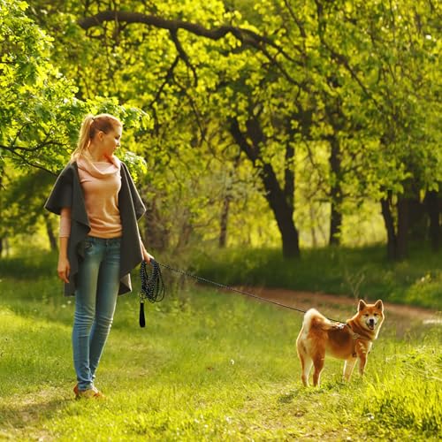 Schleppleine 30m für Hunde, 5m 10m 20m 30m Hundeleine für Mittlere Große Hunde mit Gepolsterter Griff (Schwarz)