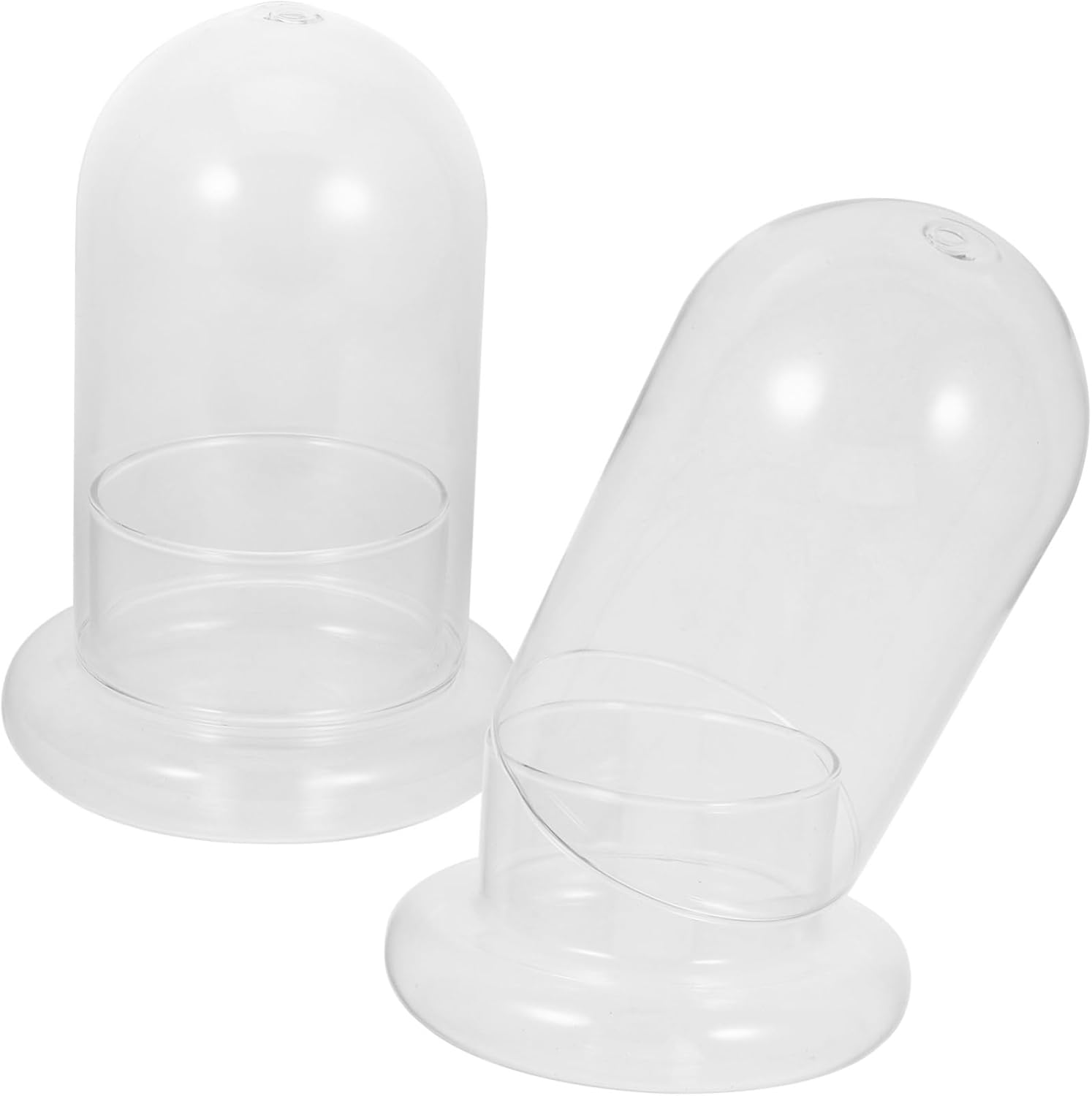 2pcs Micro Landscape Ecological Glass Bottle with Hole for DIY Decoration High Borosilicate Moss Bottle for Home and Office Decor Terrarium Holder