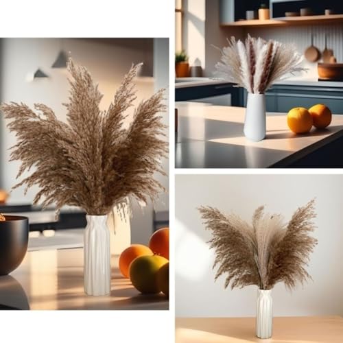 Ramo de pasto pampas seco 100 piezas para decoración miniatura 6