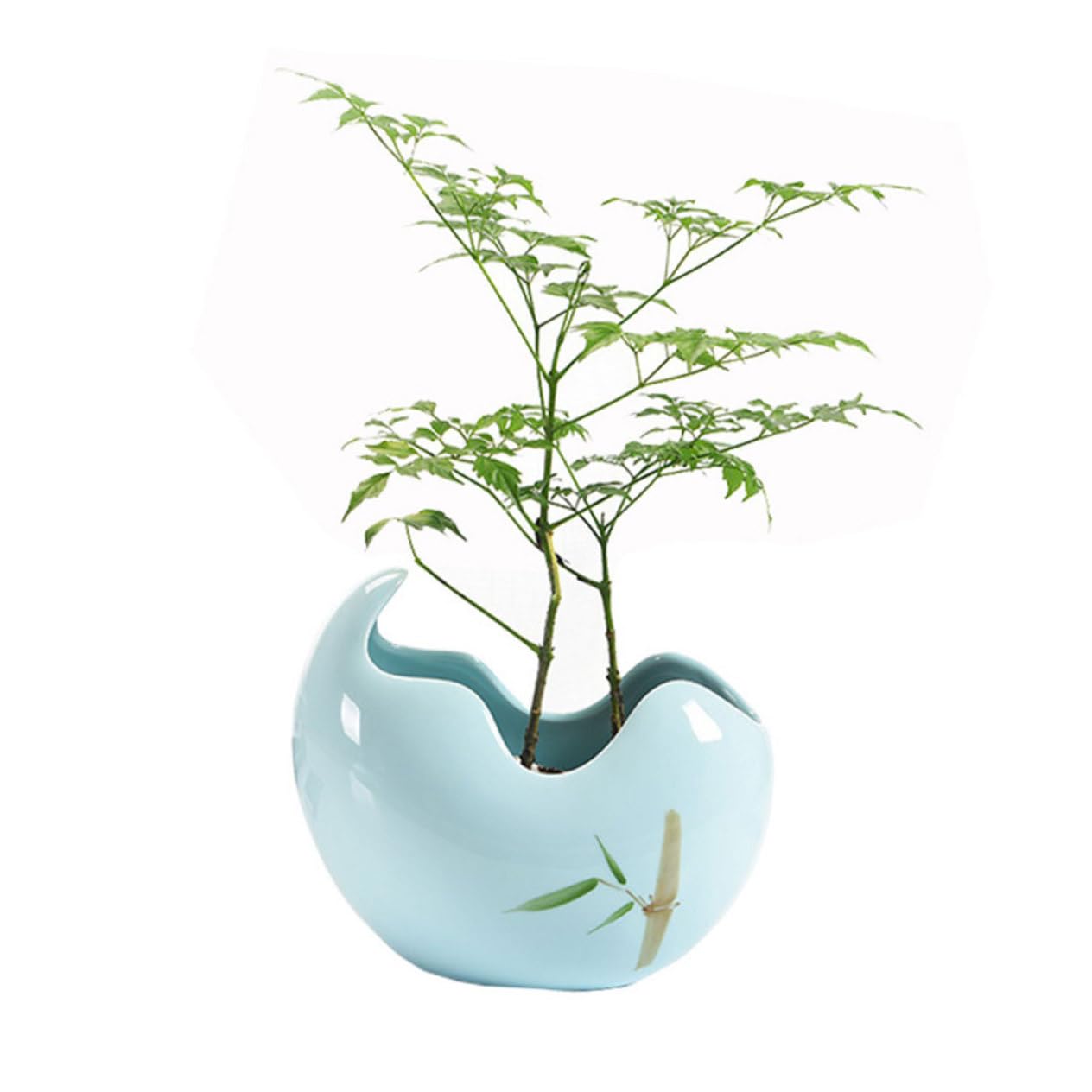 Vasi Per Piante Bonsai 1 Pezzo Vaso in Ceramica Per Fiori Design Accattivante Per Cactus Giardinaggio