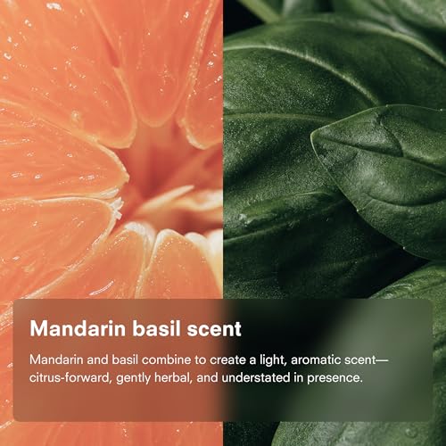 Image of Public Goods Natural Dish Soap | Kitchen Soap | Plant-Based & Vegan Friendly | Clear Dish Detergent Liquid | Concentrated Formula | Made in USA | Mandarin Basil | 16 Fl Oz