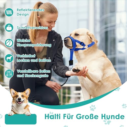 Halti Für Große Hunde, Hundehalfter Mit Gepolstertem Stoff, Verstellbar Ziehen Verhindert Halti Kopfgeschirr, Weich Anti-Zug-Halsband Für Große Hunde (Blau, L (Schnauze: 11,6-14,8zoll))