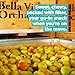 Bella Viva Orchards Organic Dried Pears, Sweet no Sugar Added, 1 lb of Dried Fruit