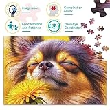 Zoom IMG-2 carino cane jigsaw puzzle impossibili