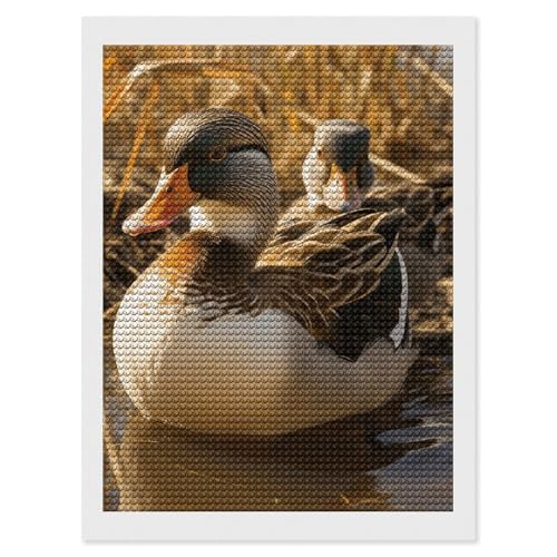 Kit d'art diamant canard domestique ELUZZIZUT idée cadeau créatif adulte