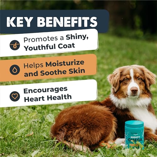 Mighty Paw Waggables Mighty Omega (Made in The USA, 120 Count) | Omega 3 Fish Oil Chew for Dogs. Salmon Oil for Dogs Skin and Coat Supplement. Soft Chew Fish Oil for Dogs – DHA & EPA, Bacon Flavor Mighty Paw Waggables Mighty Omega (Made in The USA, 120 Count) | Omega 3 Fish Oil Chew for Dogs. Salmon Oil for Dogs Skin and Coat Supplement. Soft Chew Fish Oil for Dogs – DHA & EPA, Bacon Flavor