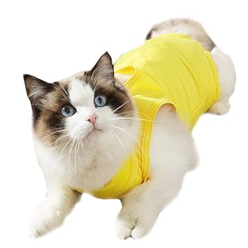 Coppthinktu Cat Recovery Suit for Abdominal Wounds or Skin Diseases, Breathable E-Collar Alternative for Cats and Dogs, After Surgery Wear Anti Licking Wounds