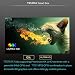 Android TV Box，T95 MAX Android 9.0 TV Box 4GB RAM/32GB ROM Quad-Core...