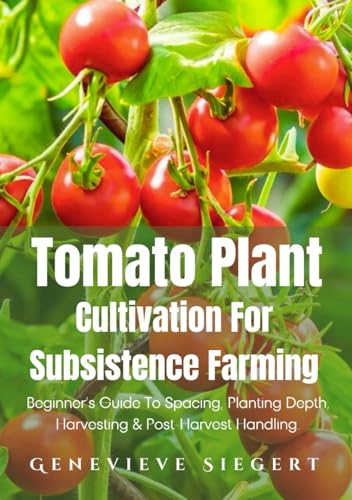 Tomato Plant Cultivation For Subsistence Farming: Beginner’s Guide To Spacing, Planting Depth, Harvesting & Post-Harvest Handling.
