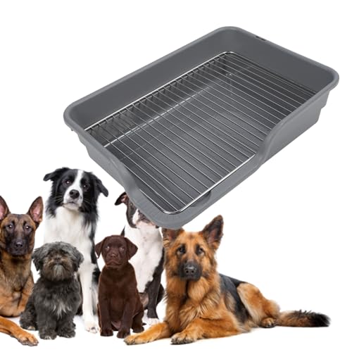 Hundeköpfchenschale flach leicht zu reinigen verschüttet Proof Edelstahl Gitter Hundetraining Toilette für kleine mittelgroße Hunde (Gray)