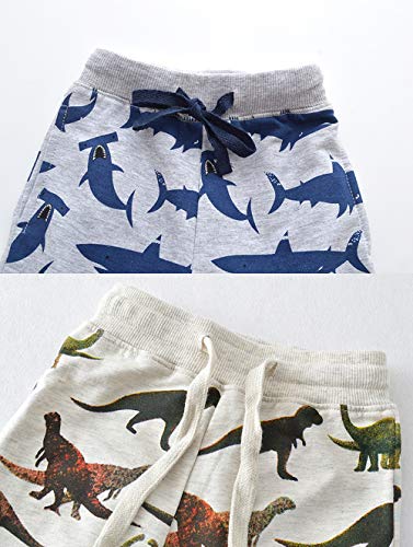 Image of HUAER& Baby Boy's Jogger Pants Dinosaur Car Animal Print Drawstring Elastic Sweatpants (1-Pack 2-Pack)