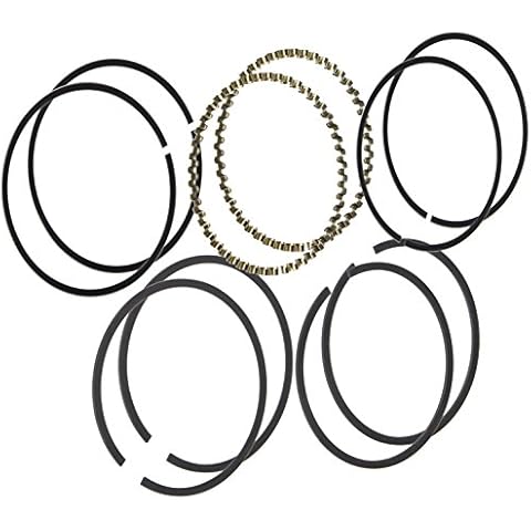 Hastings Premium Filters Hastings Premium Filters Hastings 6164030 2-Cylinder Piston Ring Set Cover