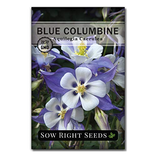 Sow Right Seeds - Blue Columbine Flower Seeds to Plant - Non-GMO Heirloom Packet With Instructions to Plant in Your Garden- Beautiful Perennial Flowers - Attract Hummingbirds, Bees and Butterflies (1)