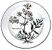 Produktbild Villeroy & Boch Botanica Suppenteller 21cm 10-2334-2700