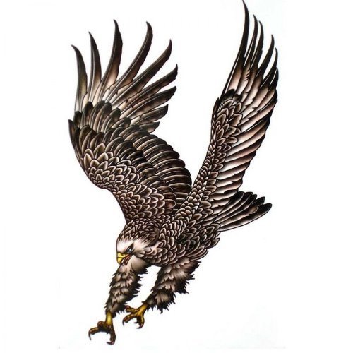 InterRookieMen's Water-resistant Eagle Wings Temporary Tattoo (Black, Adult)