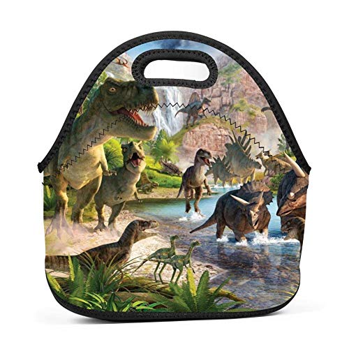 Dinosaurs World Insulated Neoprene Lunch Bag for Men Women and Kids - Reusable