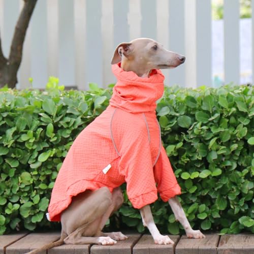 IUOUTG Hundeleichter Jacke Windbreaker, Rollkragenpet Haustier Outdoor Sportjacke, wasserdichte Italienische Windhundmantel Whippet -Kleidung Für Hunde