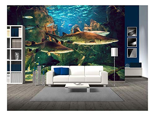 wall26 White Sharks Istanbul Aquarium Wall Mural 66x96 in