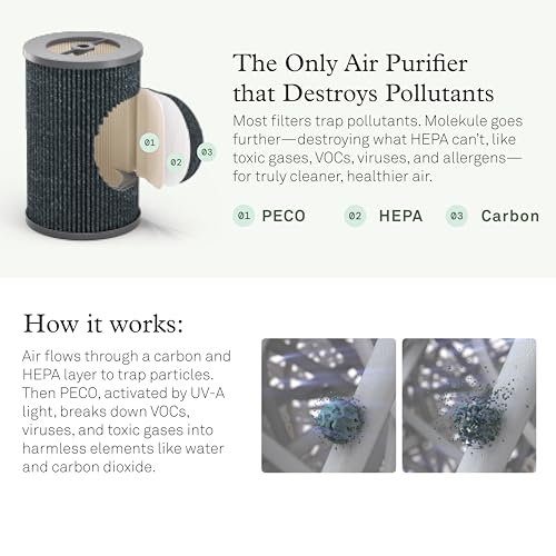 Molekule Air Pro Air Purifier - Purifies Rooms Up to 1000 Sq Ft with High Foot Traffic - FDA Cleared for Destruction of Viruses, Bacteria & Mold - Silver
