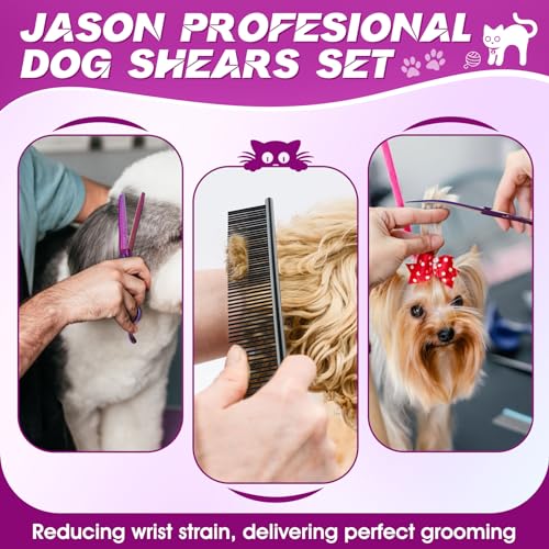 Ciseaux pour chiens professionnels JASON : Set 6 pièces violet haute précision - 3