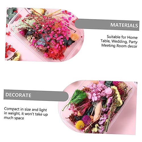 Flores secas naturales decorativas para manualidades DIY miniatura 3