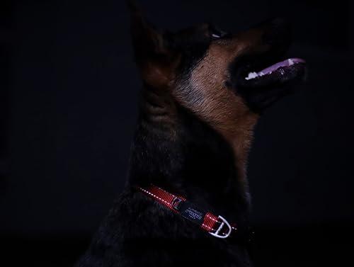 Miniatura 6 de Rogz utilidad M 58-inch costuras reflectantes serpiente collar de perro