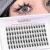 AUGENLI Manga Lashes Individual Clusters False Lashes that Natural Look Like Extensions False Lashes Korean Beauty for Cosplay Anime Makeup Salon at Home (A02)