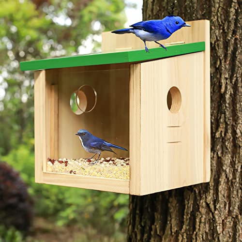 Starswrbirdhouselargebluebirdhousefeederoutdoormealwormsfeederforbluebirdwithviewingwindowwitheasycleanremovabledooroutsidehangingbirdhouses Urban Country Home Decor Starswr bird house large bluebird house feeder outdoor mealworms feeder for bluebird with viewing windowwith easy clean removable door outside hanging birdhouses urban country home decor