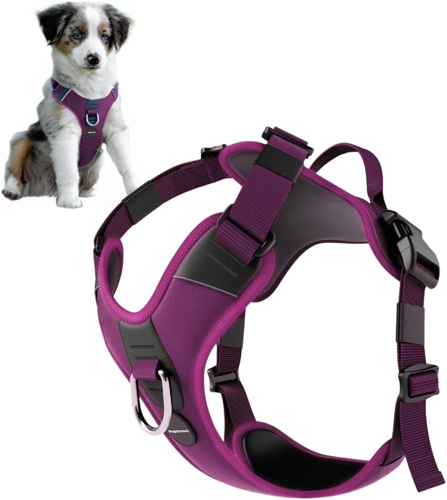 No Pull Dog Harness - Durable Polyester Puppy Harness with Front Anti-Pull Loop, Reflective Strips, and Quick-Release Clips for Small, Medium, and Large Dogs (Berry Purple, Small)