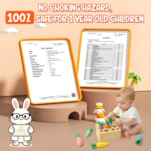 Image of Wdmiya Montessoritoys for 1 Year Old, Wooden Toys Developmental Shape Sorting & Matching Puzzle Macaron Carrots Harvest Game, Birthday Gifts for Toddlers Babies Boys and Girls 6-12 Months Christmas