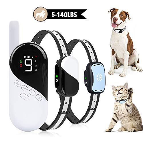 extra small shock collar