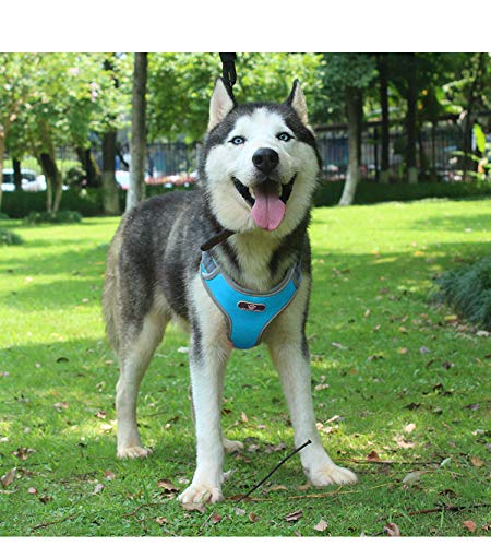 Y Hondentuig Voor Kleine Middelgrote Honden Verstelbare Huisdiergordels Y Hondentuig Voor Kleine Middelgrote Honden Verstelbare Huisdiergordels