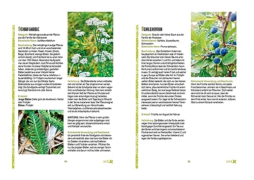 Survivalpflanzen. Die 100 wichtigsten Pflanzen zum Überleben in der Wildnis: Das Survival Handbuch für Heilmittel, Nahrungsmittel, zum Hütten-/Lagerbau und viele andere Einsatzmöglichkeiten