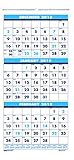 House of Doolittle 2019 Wall Calendar, Three-Month Vertical, 8 x 17 Inches, December - January (HOD3646-19)