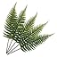 Fern Leaves - 5 Pcs