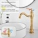 GGStudy 360° Swivel Antique Brass Bathroom Vessel Sink Faucet Single Handle One Hole Matching with Pop Up Drain