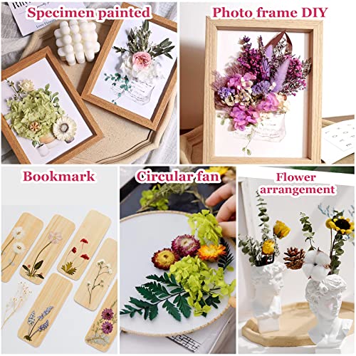 通用 Natürliche Getrocknete Blumen, Trockenblumen Set, Echte Getrocknete Gepresste Blumen und Blätter, DIY Natürliche Getrocknet Blumen Set für Kunst Basteln Dekoration (Weiß und Lila)