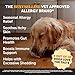 Allergy Skin Health - Allergy Itch Relief, Fish Oil for Dogs, Probiotics for Healthy Skin, Shiny Coats, Helps Reduce Normal Shedding, Soft Chews for Healthy Skin & Coat - 90 Ct (Salmon)