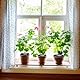 Bewässerungsring 30cm | Pflanzenbewässerung Indoor mit Wassersack | Automatische Bewässerung für Topfpflanzen bis 30 Tage | Bewässerungssack & Feuchtigkeitsspeicher