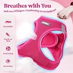 rabbitgoo Dog Harness Small Sized and Leash Set, Step in Soft Light Puppy Vest, Breathable Mesh Pet Harness, Reflective for Safe Easy Walking, Rose Red S - Image 4