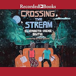 Crossing the Stream Audiolibro Por Elizabeth-Irene Baitie arte de portada