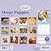 Carousel Calendars, Sleepy Puppies 2026 Wall Calendar, 12'' X 12'', 16-Month Calendar with Stapled Binding
